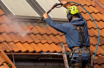 Démoussage et hydrofuge de toiture à Serpaize